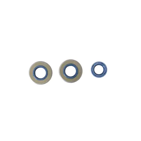 Serie Paraolio Motor