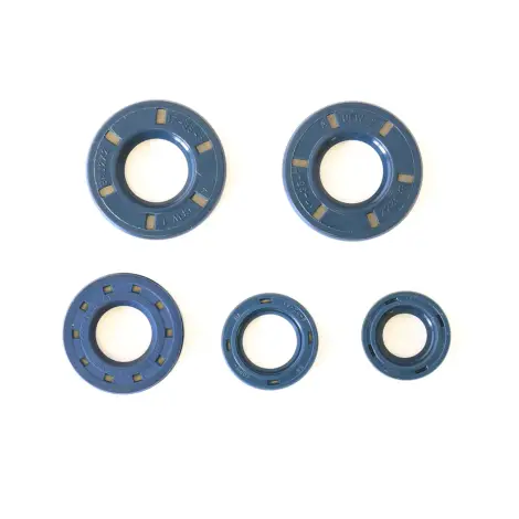 Serie Paraolio Motor