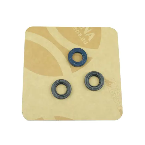 Serie Paraolio Motor