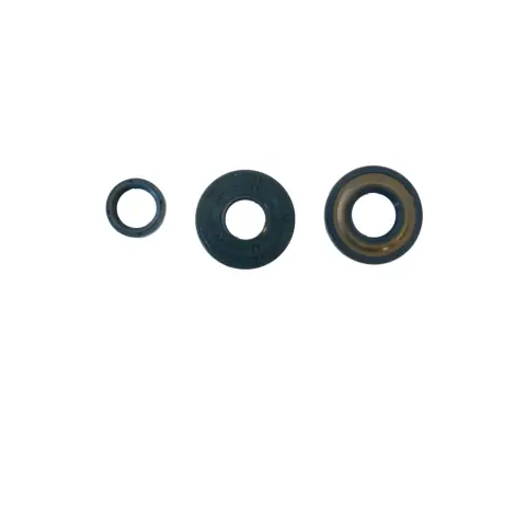 Serie Paraolio Motor