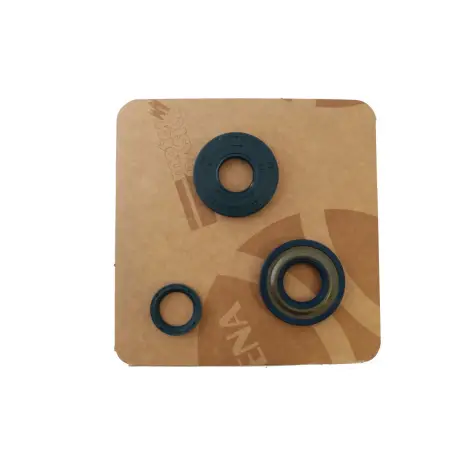 Serie Paraolio Motor