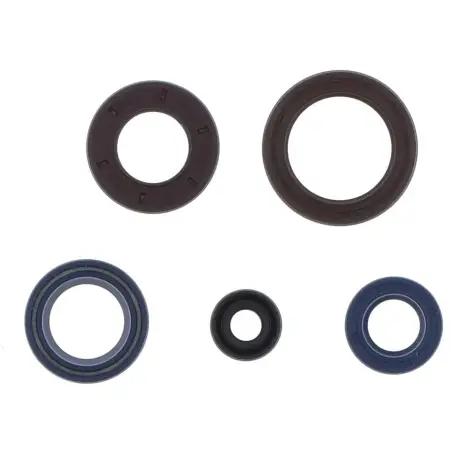 Serie Paraolio Motor