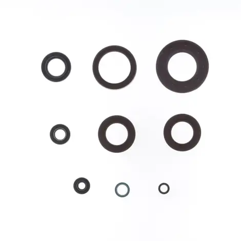 Serie Paraolio Motor