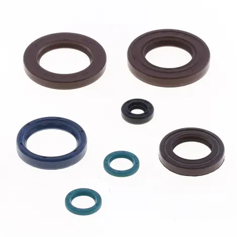 Serie Paraolio Motor
