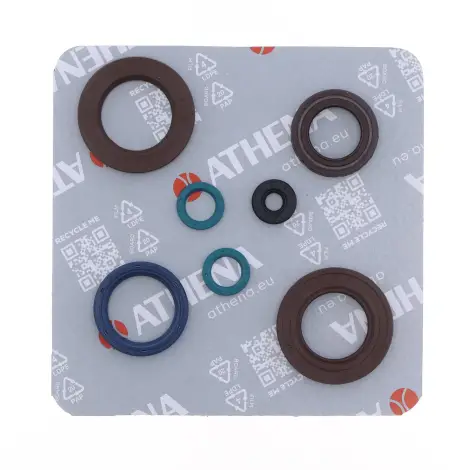 Serie Paraolio Motor