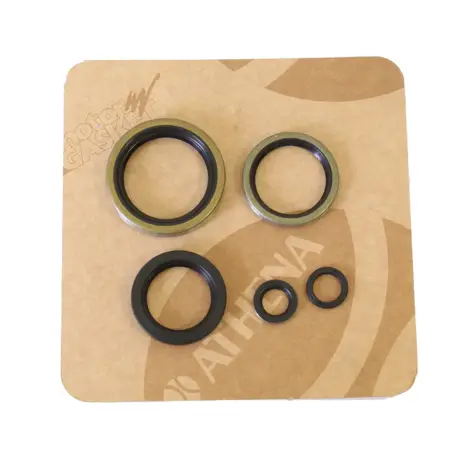 Serie Paraolio Motor