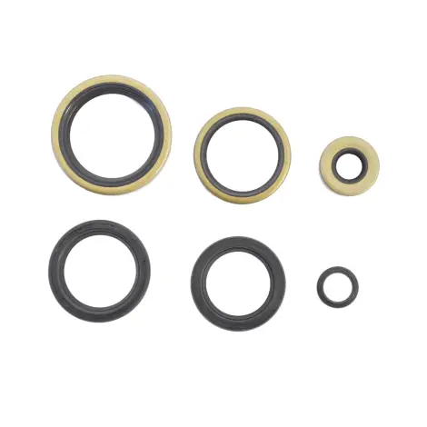 Serie Paraolio Motor