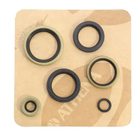 Serie Paraolio Motor