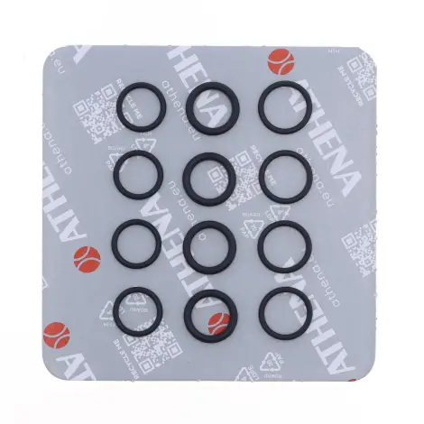 Kit o-ring asta coma