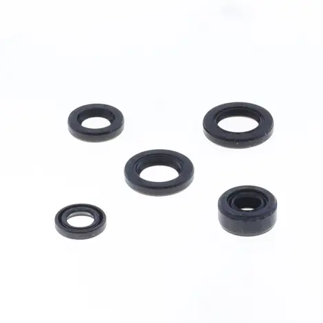Serie Paraolio Motor