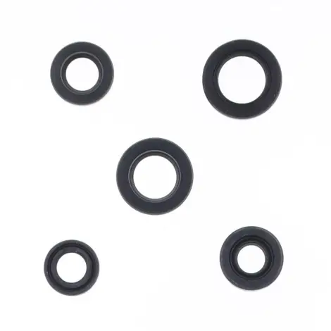 Serie Paraolio Motor