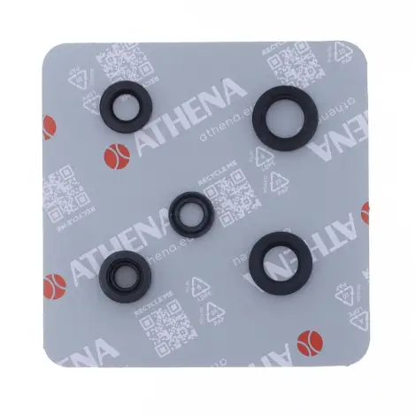 Serie Paraolio Motor