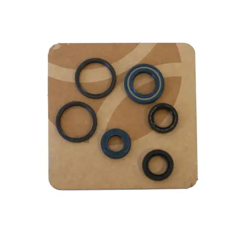 Serie Paraolio Motor