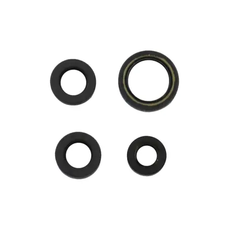 Serie Paraolio Motor