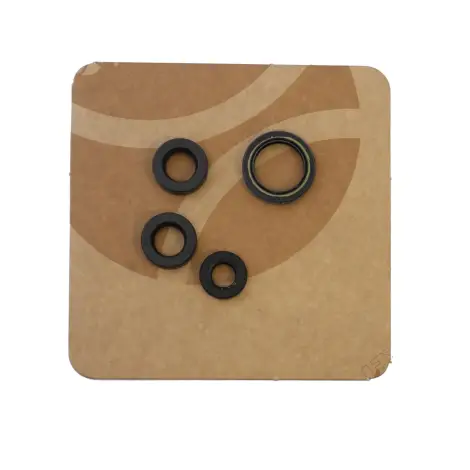 Serie Paraolio Motor