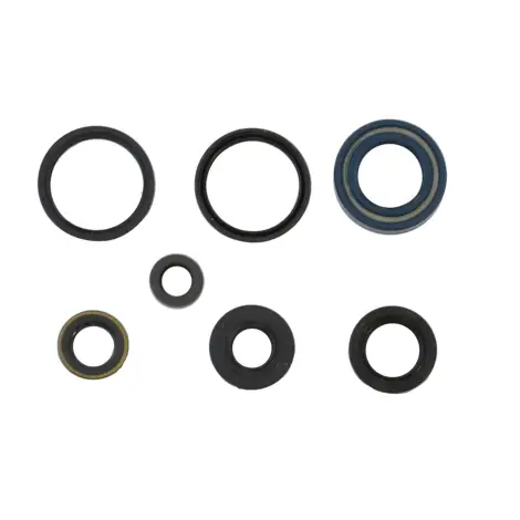 Serie Paraolio Motor
