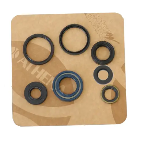 Serie Paraolio Motor