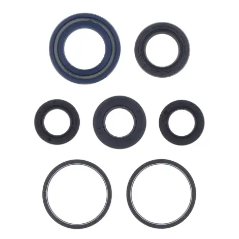 Serie Paraolio Motor