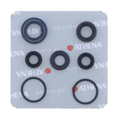 Serie Paraolio Motor