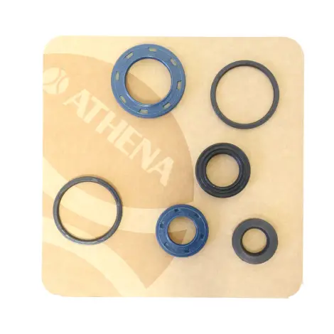 Serie Paraolio Motor