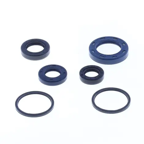 Serie Paraolio Motor