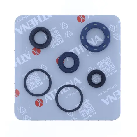Serie Paraolio Motor