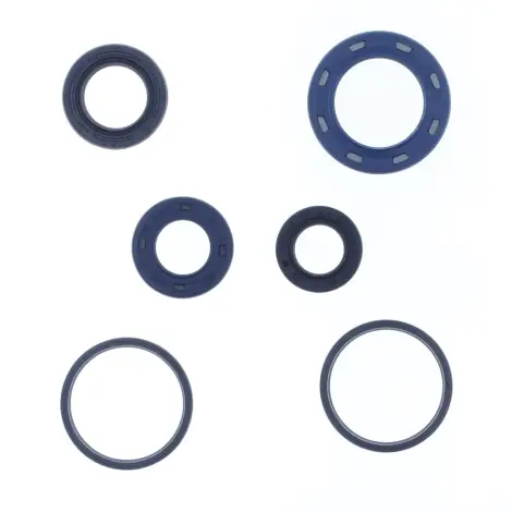Serie Paraolio Motor