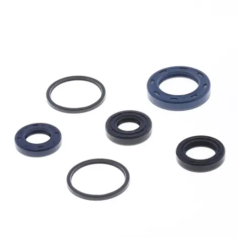 Serie Paraolio Motor