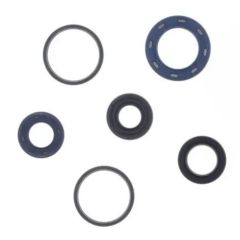 Serie Paraolio Motor