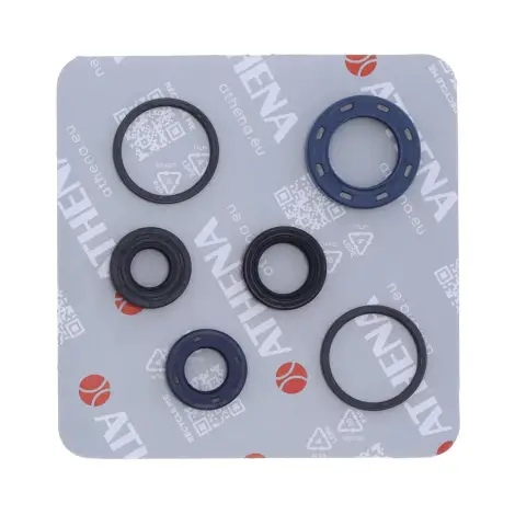 Serie Paraolio Motor