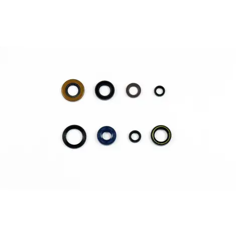 Serie Paraolio Motor