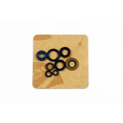 Serie Paraolio Motor