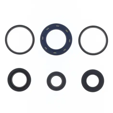 Serie Paraolio Motor