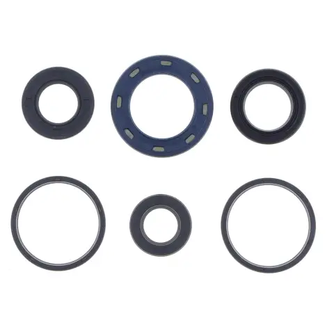 Serie Paraolio Motor