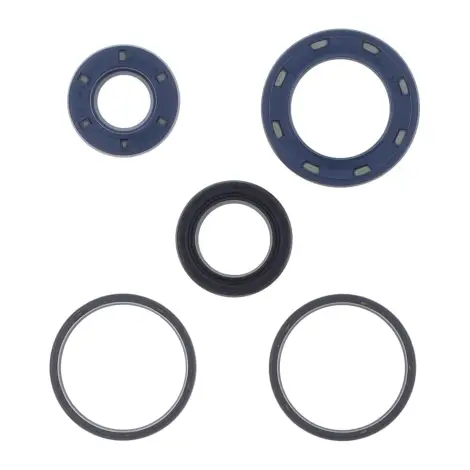 Serie Paraolio Motor