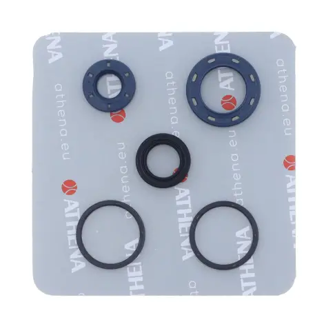 Serie Paraolio Motor