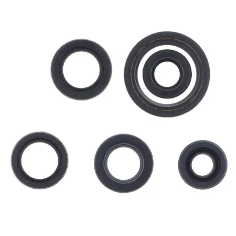 Serie Paraolio Motor