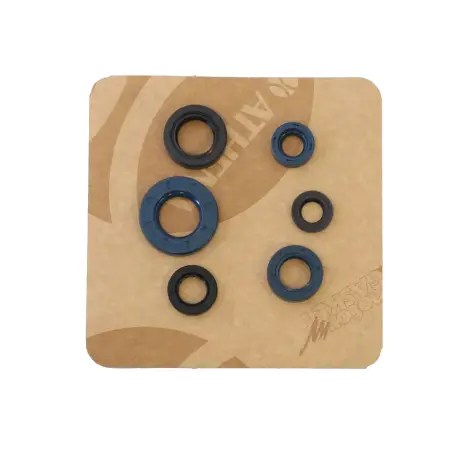 Serie Paraolio Motor