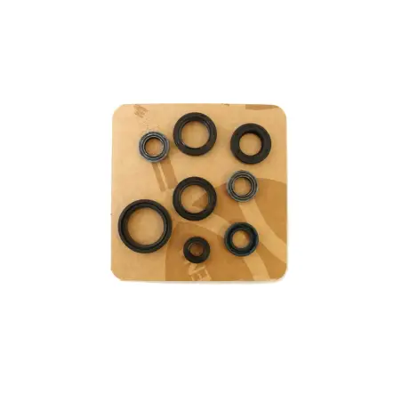Serie Paraolio Motor