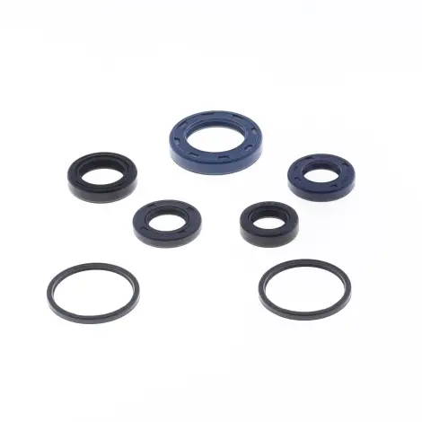 Serie Paraolio Motor