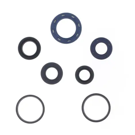 Serie Paraolio Motor