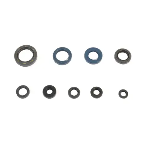 Serie Paraolio Motor