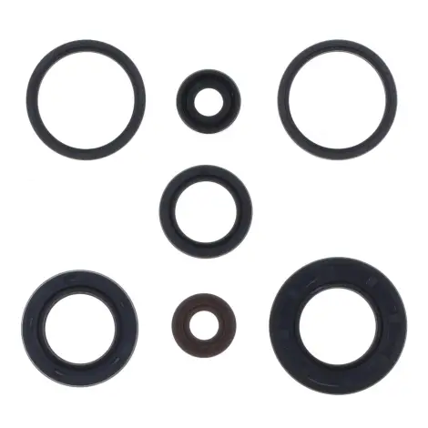 Serie Paraolio Motor