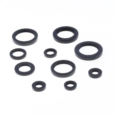 Serie Paraolio Motor
