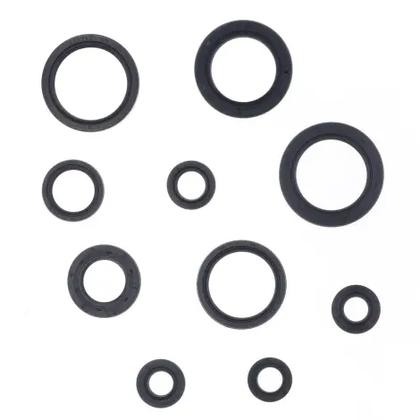 Serie Paraolio Motor