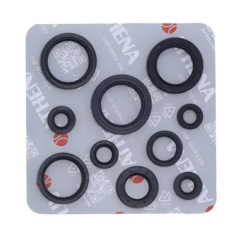 Serie Paraolio Motor