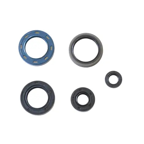 Serie Paraolio Motor