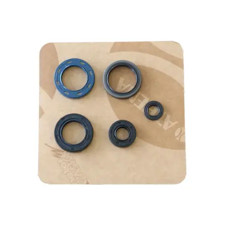 Serie Paraolio Motor