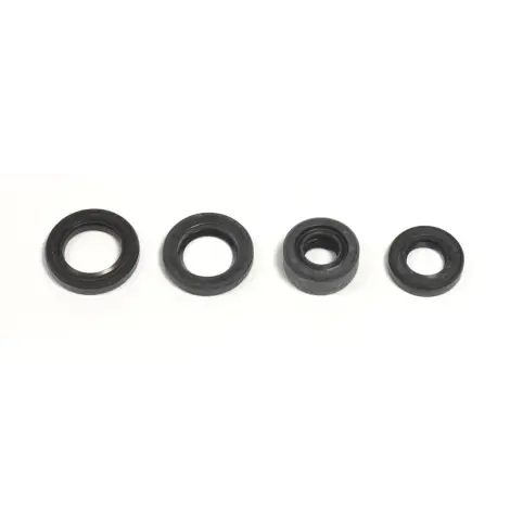 Serie Paraolio Motor