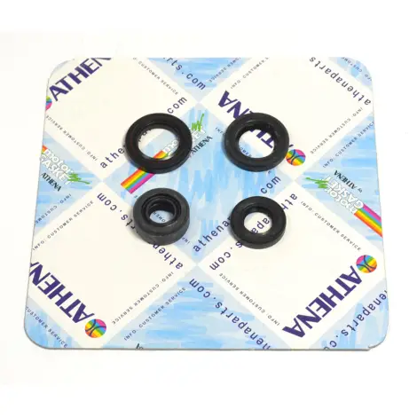 Serie Paraolio Motor